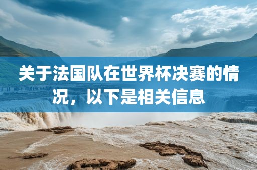 关于永康市本千工贸有限公司法国队在世界杯决赛的情况，以下是相关信息