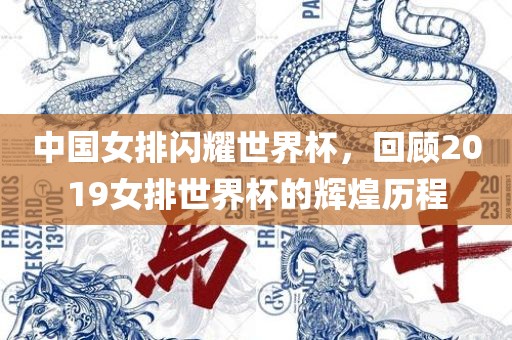 中国女排闪耀世界杯，回顾2019女排世界杯的辉煌历程