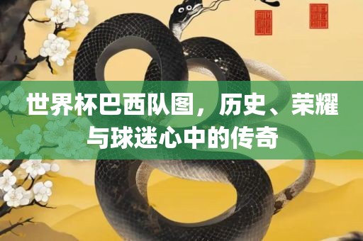 世界杯巴西队图，历史、荣耀与球迷心中的传奇