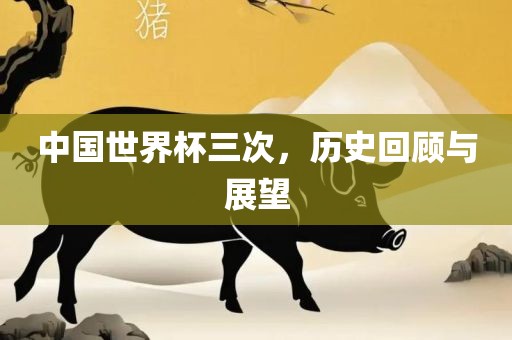 中国世界杯三次,历史回顾与展望