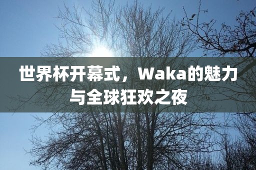 世界杯开幕式，Waka的魅力与全球狂欢之夜