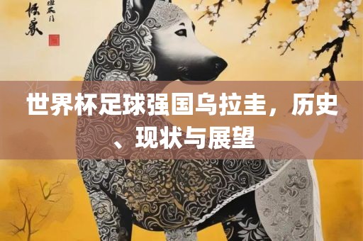 世界杯足球强国乌拉圭,历史、现状与展望
