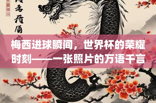 梅西进球瞬间，世界杯的荣耀时刻——一张照片的万语千言