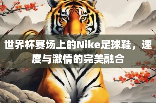 世界杯赛场上的Nike足球鞋,速度与激情的完美融合永康市本千工贸有限公司
