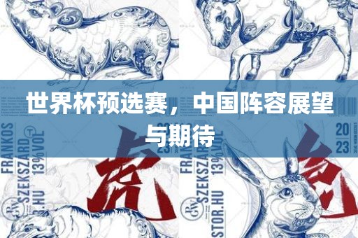 世界杯预选赛,中国阵容展望与期待永康市本千工贸有限公司