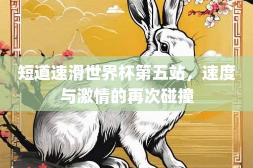 短道速滑世界杯第五站,速度与激情的再次碰撞