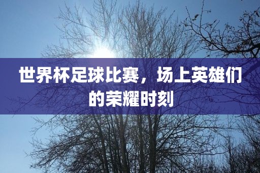 世界杯足球比赛，场上英雄们的荣耀时刻