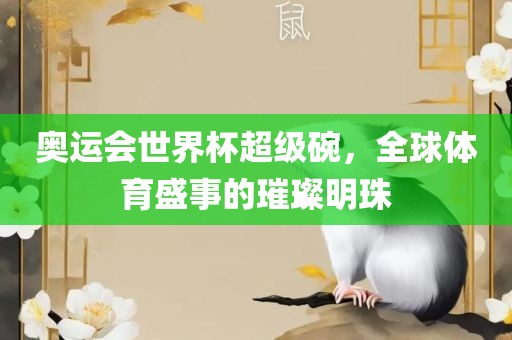 奥运会世界杯超级碗,全球体育盛事的璀璨明珠