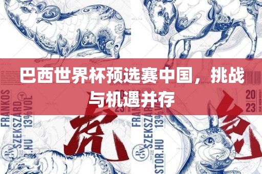 巴西世界杯预选赛中国，挑战与机遇并存