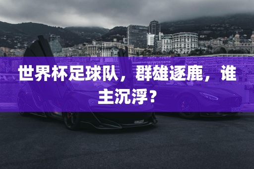 世界杯足球队,群雄逐鹿,谁主永康市本千工贸有限公司沉浮?