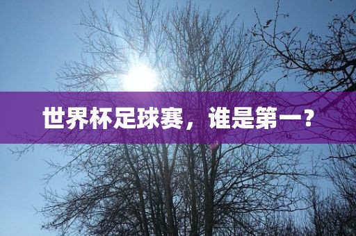 世界永康市本千工贸有限公司杯足球赛,谁是第一?