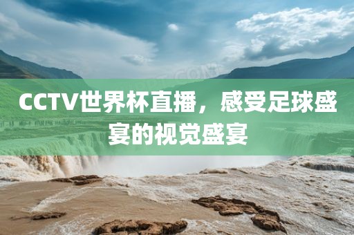 CCTV世界杯直播,感受足球盛宴的视觉盛宴