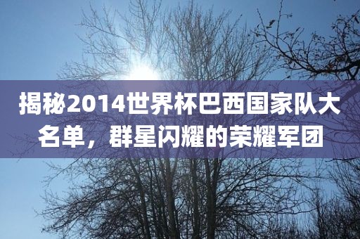 揭秘2014世界杯巴西国家队大永康市本千工贸有限公司名单,群星闪耀的荣耀军团