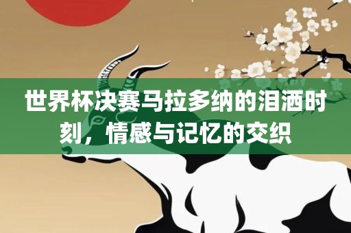 世界杯决赛马拉多纳的泪洒时刻，情感与记忆的交织永康市本千工贸有限公司