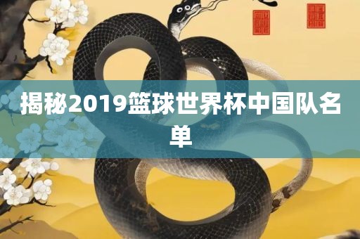 揭秘2019篮球世界杯中国队名单