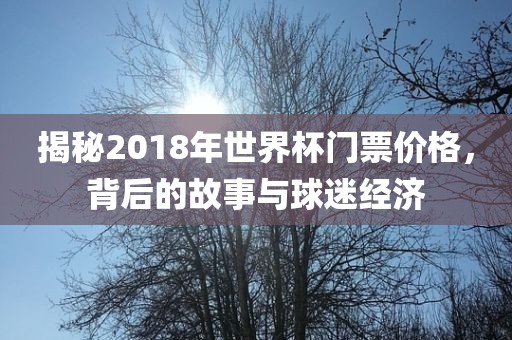 揭秘2018年世界杯门票价格,背后的故事与球迷经济