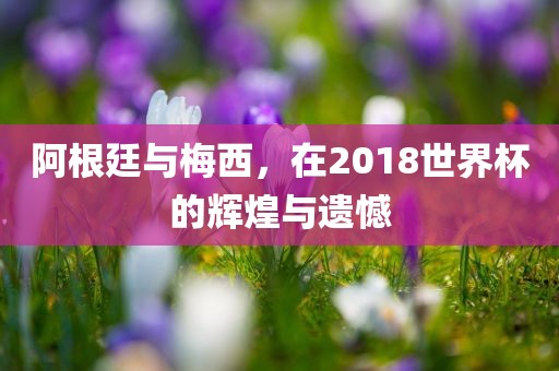 阿根廷与梅西,在2018世界杯的辉煌与遗憾永康市本千工贸有限公司