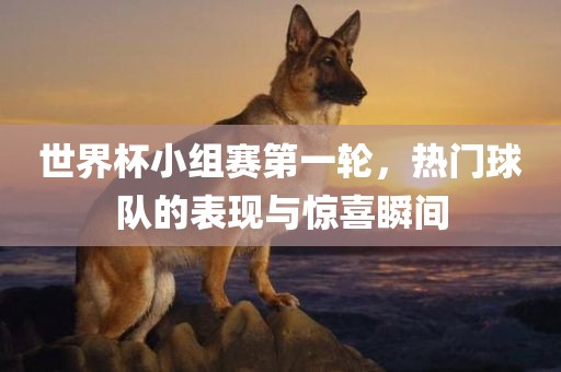 世界杯小组赛第一轮,热门球队的表现与惊喜瞬间