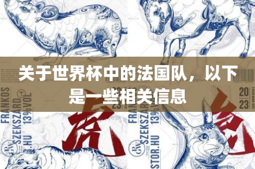 关于世界杯中的法国队,以下是一些相关信息永康市本千工贸有限公司