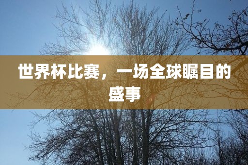 世界杯比赛,一场全球瞩目的盛事永康市本千工贸有限公司