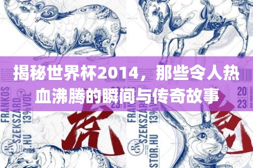 揭秘世界杯2014,那些令人热血沸腾的瞬间与传奇故事