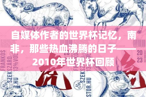 自媒体作者的世界杯记忆,南非,那些热血沸腾的日子——2010年世界杯回顾