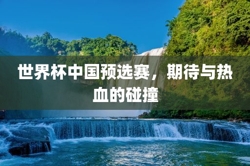 世界杯中国预选赛,期待与热血的碰撞永康市本千工贸有限公司