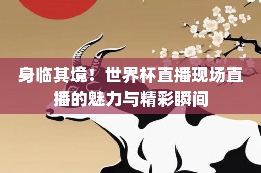 身临其境！世界杯直播现场直播的魅力与精彩瞬间