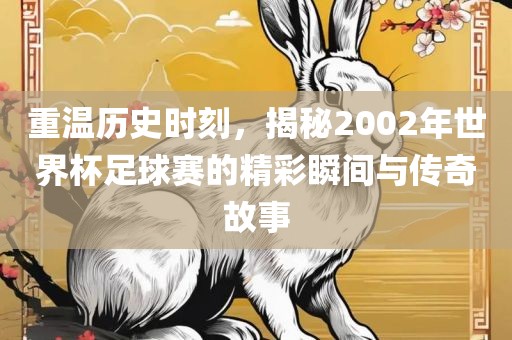 重温历史时刻，揭秘2002年世界杯足球赛的精彩瞬间与传奇故事