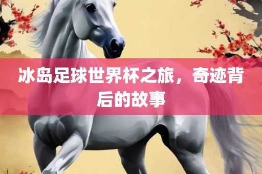 冰岛足球世界杯之旅,奇迹背后的故事
