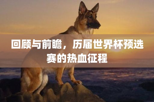 回顾与前瞻，历届世界杯预选赛的热血征程