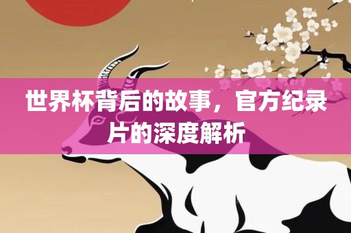 世界杯背后的故事永康市本千工贸有限公司,官方纪录片的深度解析