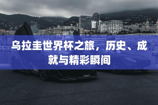 乌拉圭世界杯之旅,历史、成就与精彩瞬间永康市本千工贸有限公司