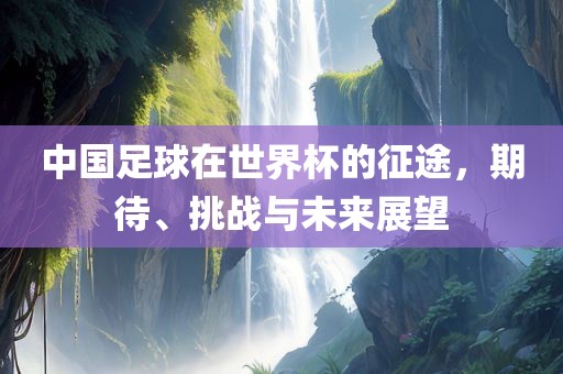 中国足球在世界杯的征途,期待、挑战与未来展望永康市本千工贸有限公司