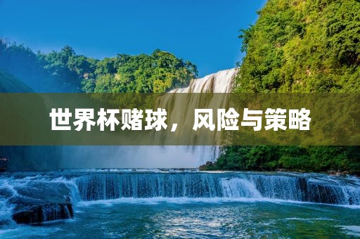 世界杯赌球，风险与策略