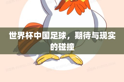 世界杯中国足球,期待与现实的碰撞