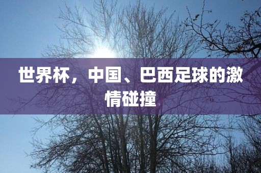 世界杯,中国、巴西足球的激情碰撞永康市本千工贸有限公司