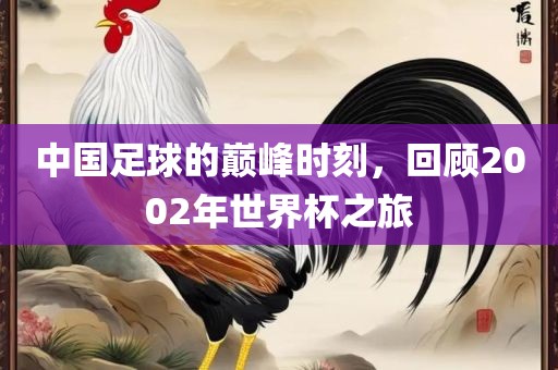 中国足球的巅峰时刻,回顾2002年世界杯之旅永康市本千工贸有限公司