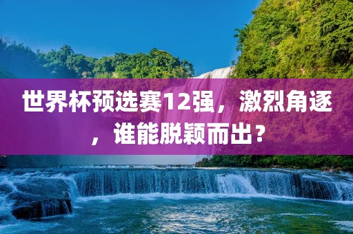 世界杯预选赛12强,激烈角逐,谁能脱颖而出?