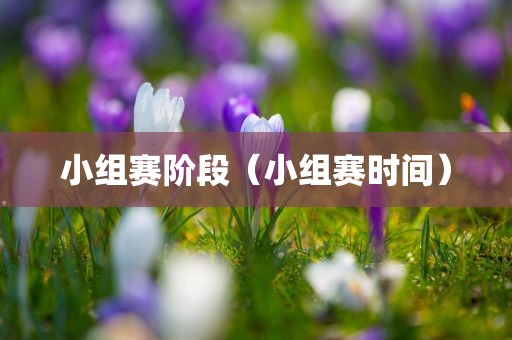 小组赛阶段（小组赛时间）