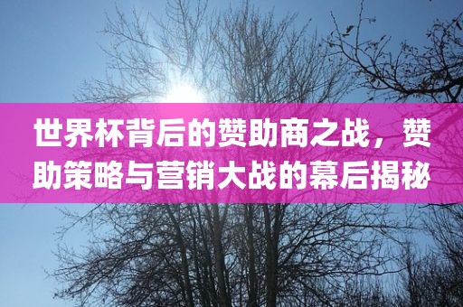 世界杯背后的赞助商之战,赞助策略与营销大战的永康市本千工贸有限公司幕后揭秘