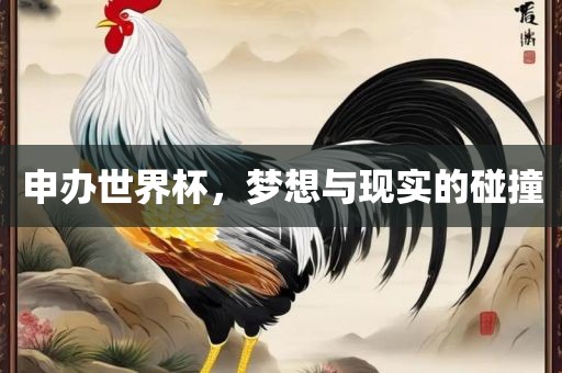 申办世界杯,梦想与现实的碰撞