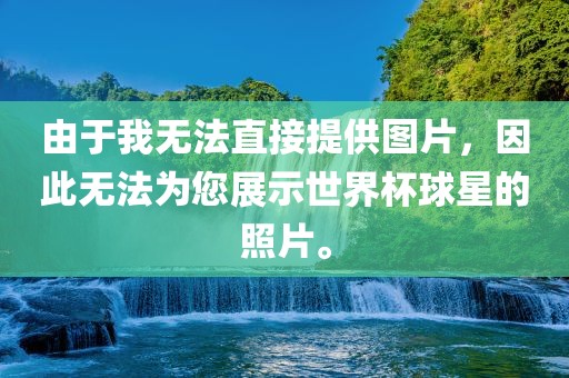 由于我无法直接提供图片,因此无法为您展示世界杯球星的照片。