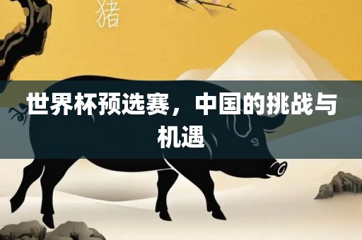世界杯预选赛,中国的挑战与机遇永康市本千工贸有限公司