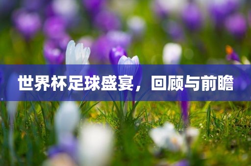 世界杯足球盛宴,回顾与前瞻