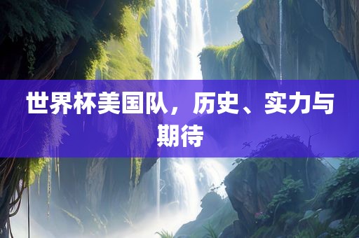 世界杯美国队，历史、实力与期待