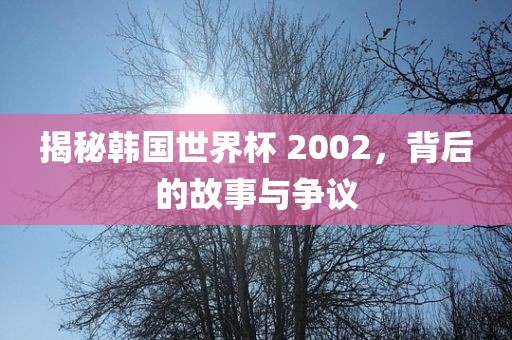 揭秘韩国世界杯 2002,背后的故事与争议永康市本千工贸有限公司