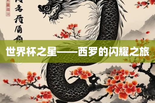 世界杯之星——西罗的闪耀之旅