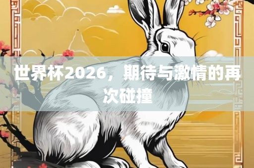 世界杯2026，期待与激情的再次碰撞