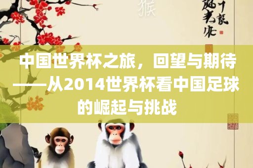 中国世界杯之旅,回望与期待——从2014世界杯看中国足球的崛起与挑战
